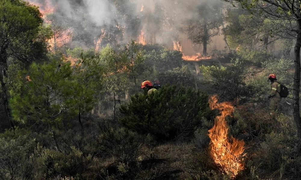 Υπό μερικό έλεγχο η φωτιά στον Αλίαρτο Βοιωτίας